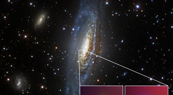 Deze afbeelding toont het spiraalsterrenstelsel NGC 7331. In dat sterrenstelsel, zo'n 40 miljoen lichtjaar van ons vandaan, bevindt zich de kameleonachtige supernova SN 2014C.

 (c) NASA/CXC/CIERA/R.Margutti en SDSS