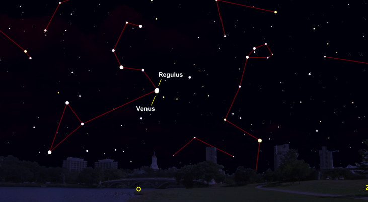 3 oktober: Regulus pal boven Venus
