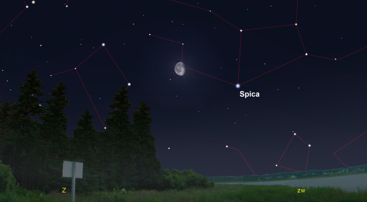 3 maart: Spica (Maagd) rechtsonder maan (ochtend)