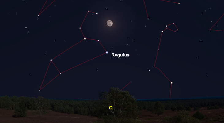 19 januari: Regulus (Leeuw) onder maan