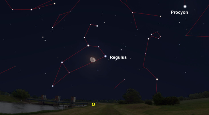 10 januari: Regulus (Leeuw) rechts van maan