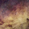 Het hart van de Melkweg vastgelegd door ruimtetelescoop Euclid. (c) ESA/Euclid/Euclid Consortium/NASA, CFHT, image processing by J.-C. Cuillandre and E. Bertin (CEA Paris-Saclay)