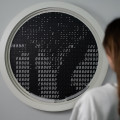 De installatie die uitrekent wat de kans is dat iemand bestaat. (c) Woven