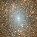 De verdeling van de donkere materie in de halo van een sterrenstelsel met de massa van onze Melkweg in een computersimulatie op basis van het kosmologische standaardmodel. © The Aquarius Simulation, The Virgo Consortium/Dr Mark Lovell.