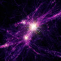 Artist’s impression van vroege sterrenstelsels. Sterren en sterrenstelsels zijn met wit aangegeven, de meer diffuse donkere materie met paarse en rode tinten.  © Aaron M. Geller, Northwestern, CIERA + IT-RCDS