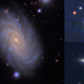 Voorbeelden van SAMI-sterrenstelsels met centrale uitstulping en omringende schijf.  © Hyper Supreme-Cam Subaru/Pan-STARSS