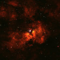 Het gebied rond NGC 3603 is omgeven door geïoniseerd waterstofgas (rood). De ster A1 bevindt zich in de centrale sterrenhoop. © N. Morrell, K. Farrell, Las Campanas 1-meter telescope (processed by P. Massey).