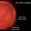 Schematisch overzicht van het drievoudige stersyteem Wolf 1130ABC, bestaande uit de witte dwerg Wolf 1130B, de rode dwerg Wolf 1130A en de bruine dwerg Wolf 1130C. © Adam Burgasser