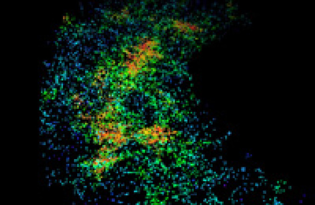 The cosmic web and the local universe