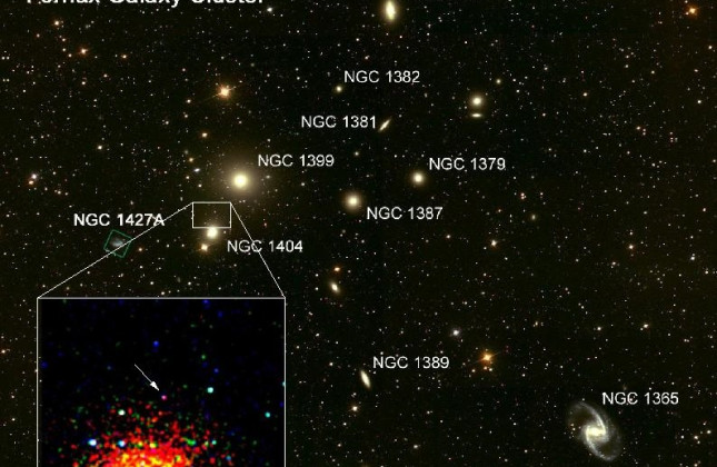 Samengesteld beeld: optische opname van de cluster van melkwegstelsels waar NGC 1404 bijhoort, met een zoom-in van het röntgenplaatje waarin de mogelijke progenitor (voorloperster) te zien is. Credit: Z. Levay, L. Frattare (STScI), A Karick, MGregg (LLNL