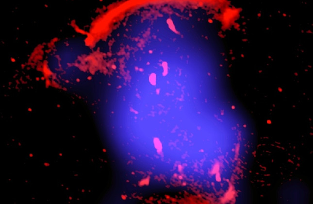 De cluster van sterrenstelsels CIZAJ2242.8+5301. Rood geeft de radiostraling aan van de schokgolven, waargenomen met de Giant Metrewave Radio Telescoop in India. Blauw laat de röntgenstraling van het hete gas in zien, waargenomen met de ROSAT-satelliet. 