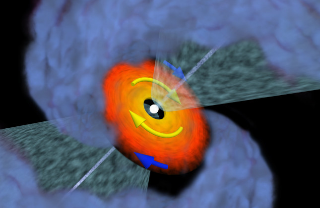 Artistieke impressie van de kepleriaanse protoplanetaire schijf van VLA1623A Credit: N. Murillo et al. 