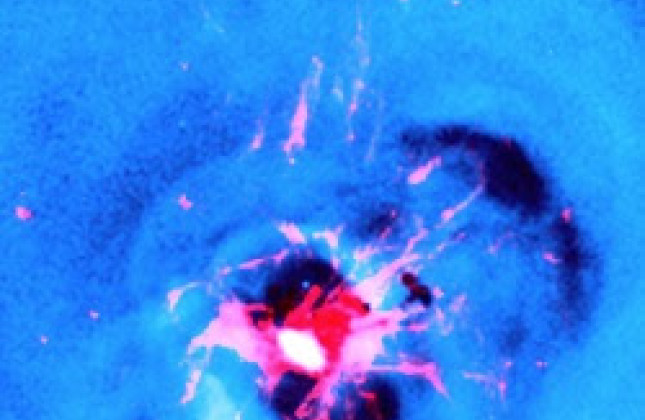 Heet (blauw) en koud (rood) gas in het centrum van een cluster van sterrenstelsels. (c) (NASA/CXC/Stanford/I.Zhuravleva et al/A.C. Fabian et al
