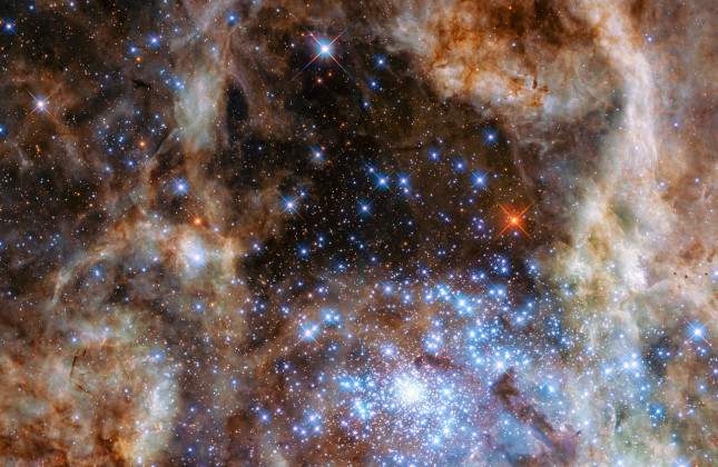 De afbeelding toont het centrale gebied van de Tarantulanevel. Rechtsonder in beeld is het jonge, dichtbevolkte stercluster R136 zichtbaar. Een internationaal team van astronomen heeft met behulp van de Hubble Ruimtetelescoop een set van negen monsterster