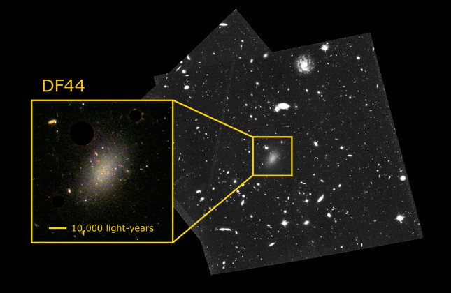 Beeld van de Hubble Ruimtelescoop van het ultradiffuse sterrenstelsel Dragonfly44 (DF44). Credit: T. Saifollahi and NASA/HST.