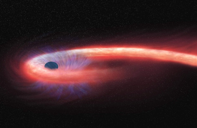 Een zwart gat trekt een ster uiteen tot een lange sliert, die zich vervolgens rondom het zwarte gat wikkelt (artist impression). Credit: NASA / CXC / M. Weiss