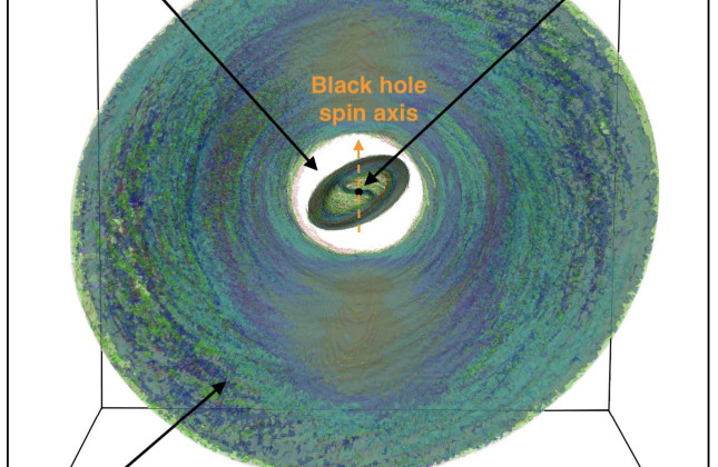 Simulatie van een sterk gekantelde, dunne accretieschijf rond een zwart gat. De binnenschijf produceert een hoogfrequente quasi-periodieke oscillatie. Credit: M. Liska.