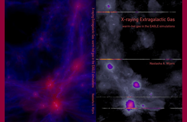 Cover of the PhD thesis of Nastasha Wijers