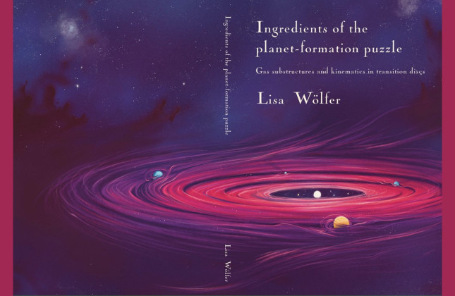 Thesis cover. (c) Lisa Wölfer