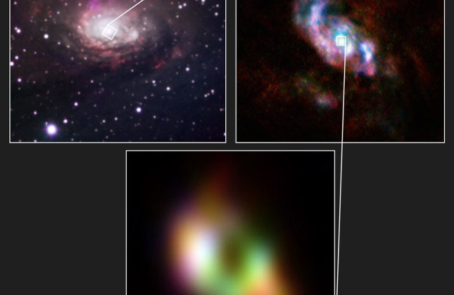 Gas is streaming towards the black hole through two spiral arms that are embedded in the disc. These arms feed the doughnut-shaped cloud around the black hole seen at the bottom. Credit: ALMA(ESO/NAOJ/NRAO)/ESO/W. Goesaert et al.