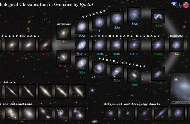 De classificatie van sterrenstelsels op basis van hun vorm. Credit: ESA/Euclid/Euclid Consortium/NASA, Diagram by J.-C. Cuillandre, L. Quilley, F. Marleau