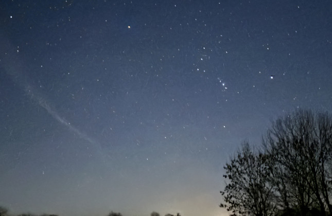 RUG organiseert zesde nationale stertelling