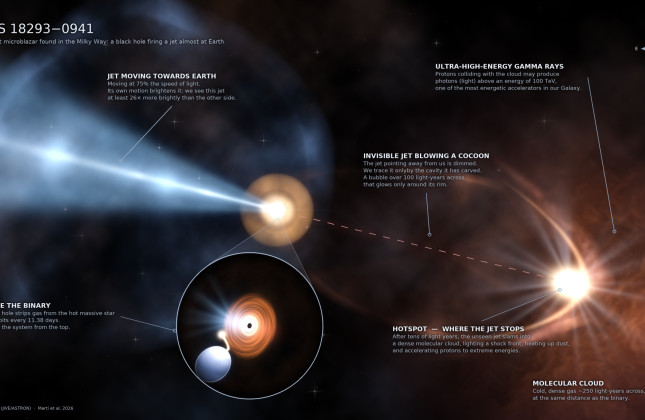 Artistieke impressie van de microblazar (midden) die twee krachtige jets produceert: de ene is op de aarde gericht (links), de andere raakt een moleculaire interstellaire wolk (rechts). Credit: B. Marcote (JIVE/ASTRON)/Martí et al. 2026