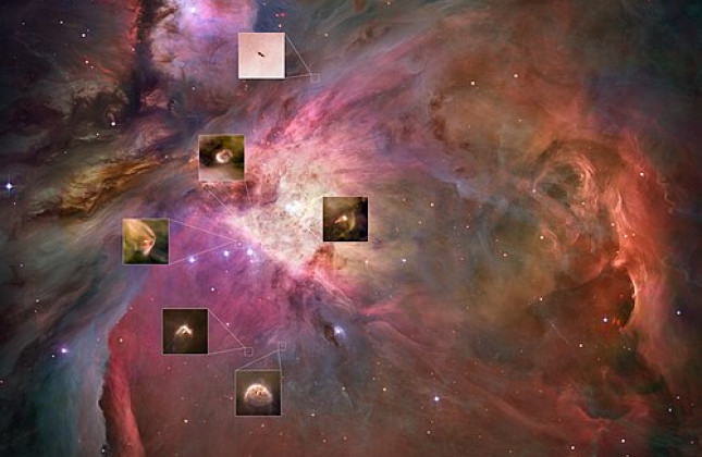 ‘Kikkervisjes’ in de Orionnevel, credit: ESA/Hubble