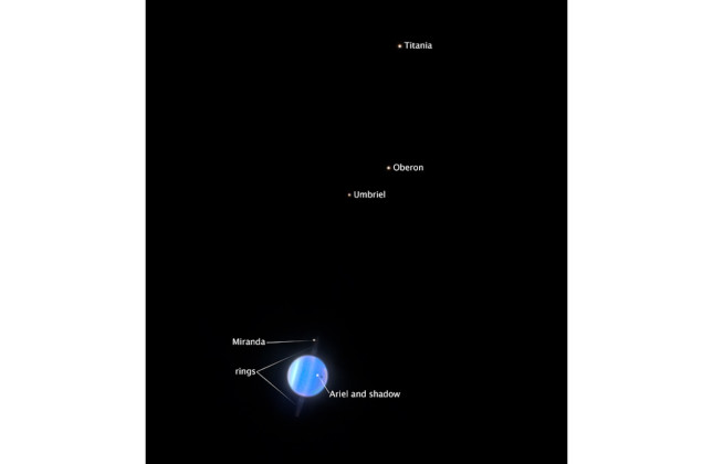 Hubble-opname van de planeet Uranus met zijn ringen en zijn vijf grootste manen. © NASA, ESA, STScI, Christian Soto (STScI)