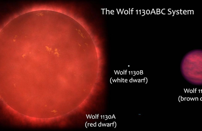 Schematisch overzicht van het drievoudige stersyteem Wolf 1130ABC, bestaande uit de witte dwerg Wolf 1130B, de rode dwerg Wolf 1130A en de bruine dwerg Wolf 1130C. © Adam Burgasser