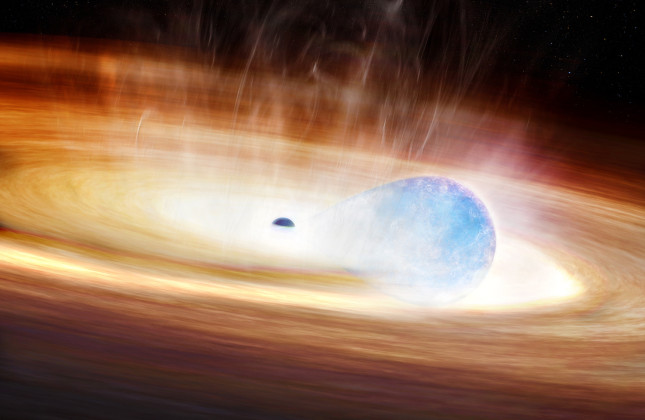 Artist’s impression van een botsing tussen een zwart gat en een naburige zware ster (blauw). © Melissa Weiss/CfA
