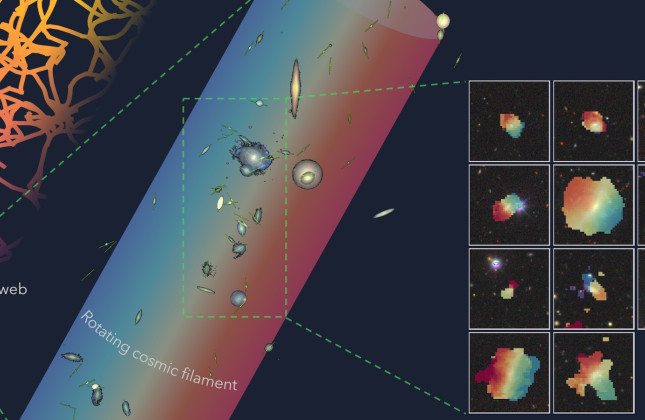 Deze afbeelding illustreert de draaiing van neutrale waterstof (rechts) in sterrenstelsels die deel uitmaken van een langgerekt filament (midden). © Lyla Jung