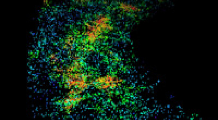 The cosmic web and the local universe