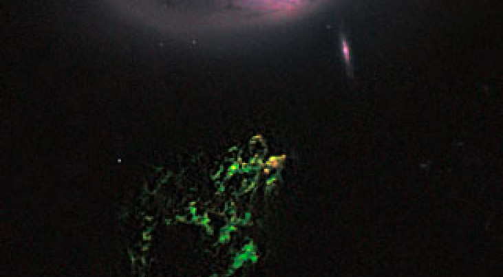 Hubble-foto van Hanny's Voorwerp toont stervormingsgebieden