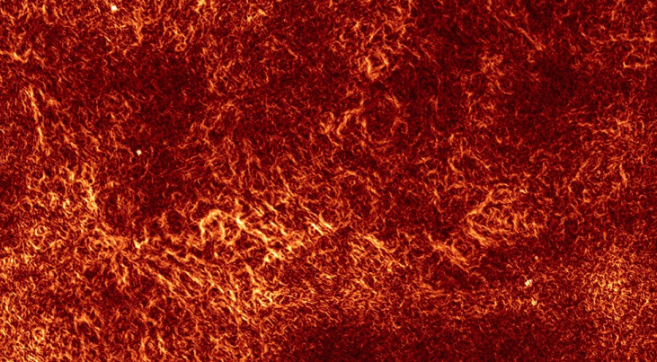 Turbulentie in het interstellaire gas: de slangen zijn gebieden in het gas waar de dichtheid en het magnetisch veld snel veranderen als gevolg van turbulentie. Image credit: B. Gaensler et al. Data: CSIRO/ATCA