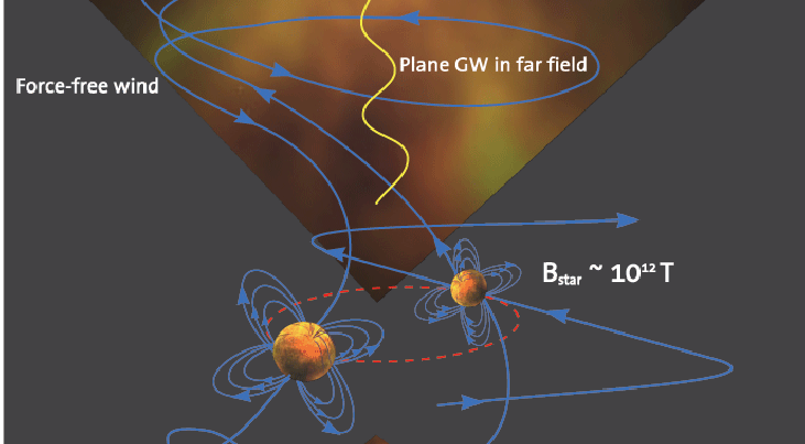 Gammaflitsers, veroorzaakt door het botsen van twee neutronensterren, behoren tot de krachtigste explosies in het universum. Hierbij komt zoveel energie vrij dat de ruimte en tijd ernstig worden verstoord. Deze zwaartekrachtsgolven blijken op hun beurt ra