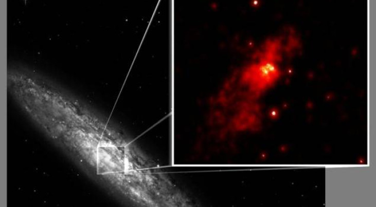 Het spiraalstelsel NGC253 vertoont een hoge mate van stervorming, maar de Chandra-röntgentelescoop heeft ook de aanwezigheid van een actief zwart gat aangetoond. Dit is dus een stelsel met een ‘dubbele centrale verwarming’. Credit: Digitized Sky Surv