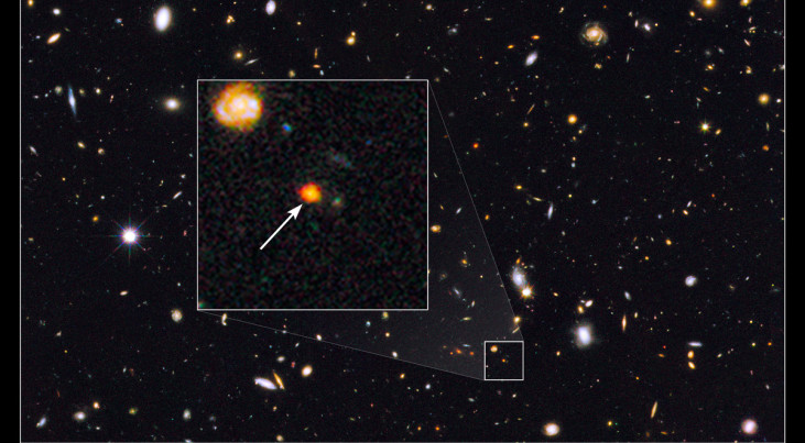 Hubble ziet stergeboorte in pril sterrenstelsel in het jonge heelal. Credit: NASA, ESA, G. Illingworth (University of California, Santa Cruz), het GOODS-team
