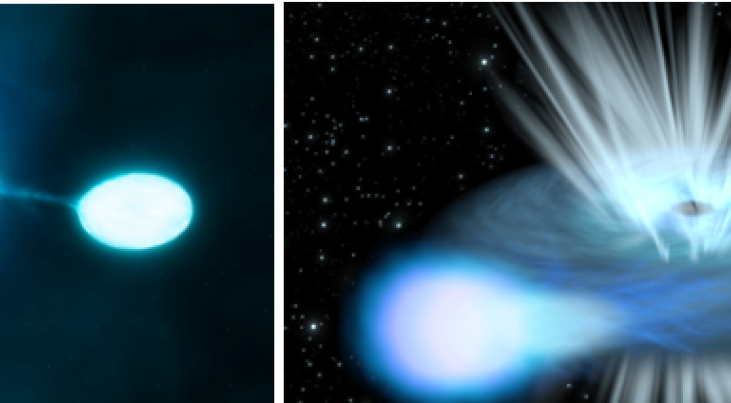 Een team van drie Nederlandse astronomen verklaart hoe twee zwarte gaten een tijd lang om elkaar heen kunnen draaien. Het begint bij twee grote sterren die om elkaar draaien (links). Als de grootste ster instort tot een zwart gat, kan de kleinere ster nog