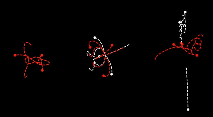 Twee computersimulaties van drie zwarte gaten die elkaar beïnvloeden. Links na 35 miljoen jaar. Midden na 37 miljoen jaar. Rechts na 40 miljoen jaar. (c) Astronomie.nl/Tjarda Boekholt