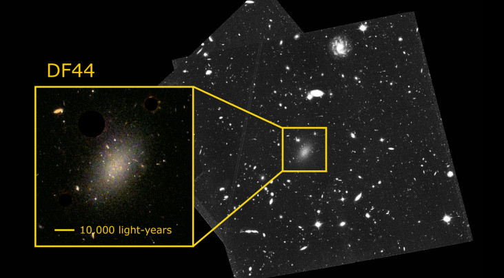 Beeld van de Hubble Ruimtelescoop van het ultradiffuse sterrenstelsel Dragonfly44 (DF44). Credit: T. Saifollahi and NASA/HST.