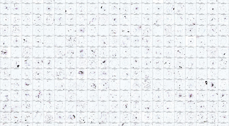 Om de database te testen, onderzocht het team van onderzoekers 309 botsende clusters van elk honderden tot duizenden sterrenstelsels. (c) Andrea Botteon/LoTSS