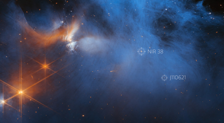 Het stervormingsgebied Chamaeleon I gezien met de Webb-telescoop. (c) ESA/Webb/McClure et al.