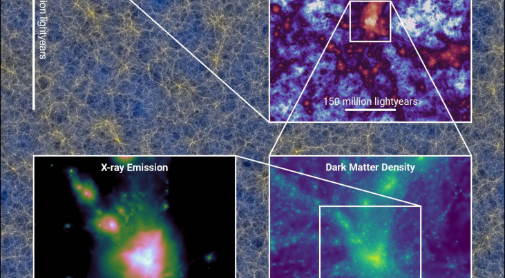 Een projectie door een 130 miljoen lichtjaar dikke schijf van een simulatie van een kubusvormig volume van 9.132 miljoen lichtjaar aan één zijde.  Credit: Josh Borrow, het FLAMINGO-team en het Virgo Consortium.