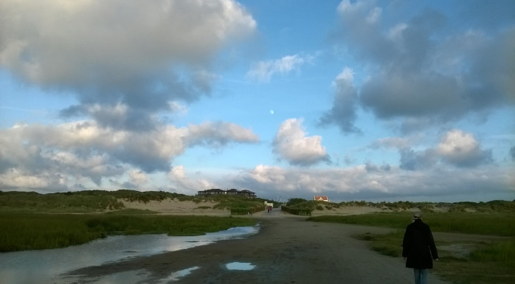 Waddenweer op Schiermonninkoog. (c) Henk de Bruin
