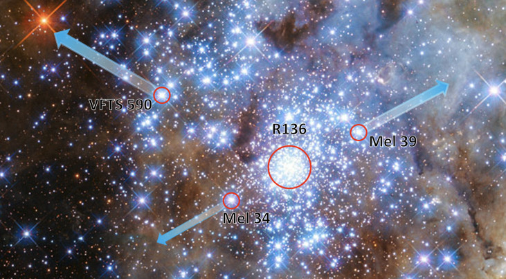Schematische weergave van de wegrensterren VFTS 590, de dubbelster Mel 39 en de dubbelster Mel 34 die in bijna-botsingen zijn weggeslingerd uit sterrenhoop R136 in de Tarantulanevel. Credit: NASA, ESA, P. Crowther/University of Sheffield, Mitchel Stoop.