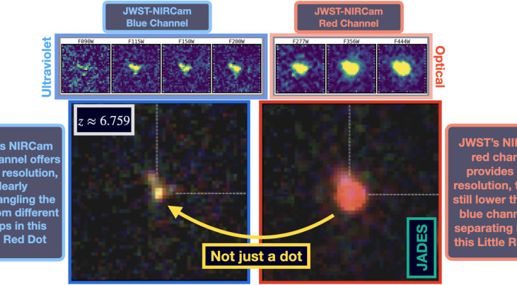 Een Little Red Dot in het vroege heelal, spectroscopisch bevestigd bij z = 6,759 (toen het heelal 800 miljoen jaar oud was), waargenomen met NIRCam in het GOODS-North-veld. Credit: P. Rinaldi, JADES, NASA