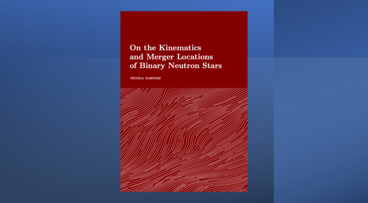 Omslag van het proefschrift. (c) Nicola Gaspari