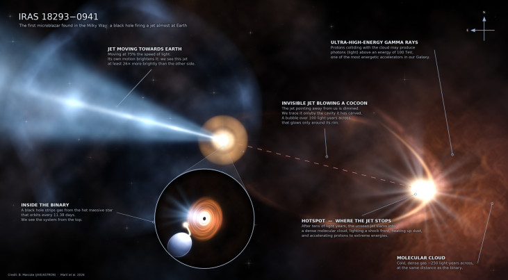 Artistieke impressie van de microblazar (midden) die twee krachtige jets produceert: de ene is op de aarde gericht (links), de andere raakt een moleculaire interstellaire wolk (rechts). Credit: B. Marcote (JIVE/ASTRON)/Martí et al. 2026