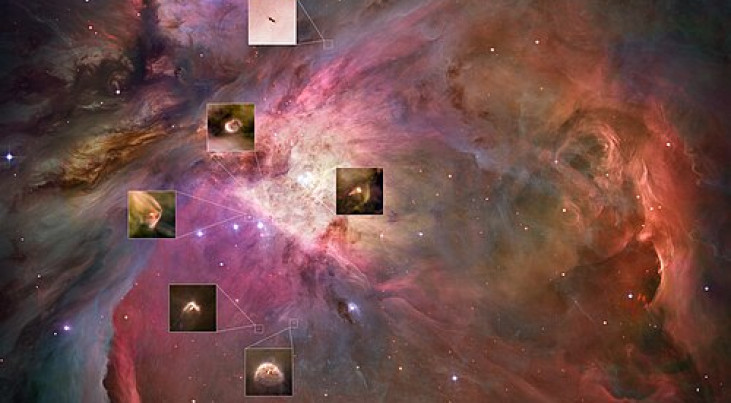 ‘Kikkervisjes’ in de Orionnevel, credit: ESA/Hubble